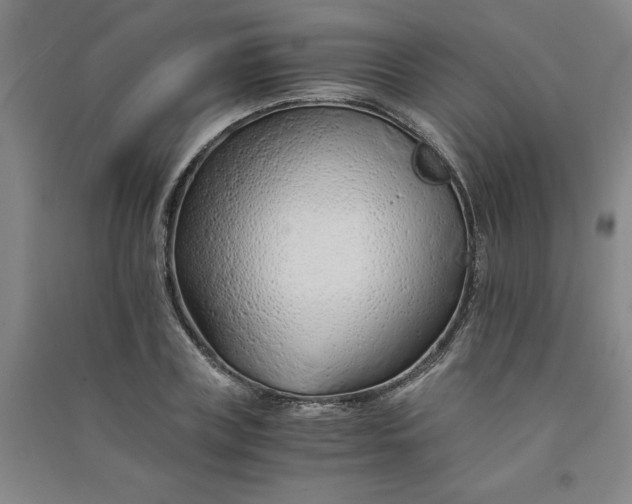 X0000090900835200708201716