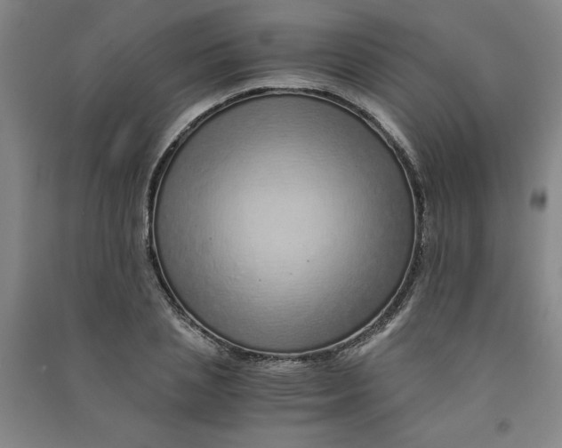 X0000090900837200708201716