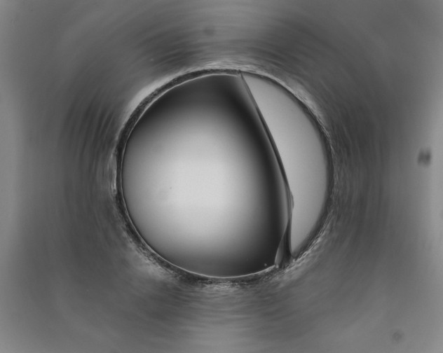 X0000090900838200708201716