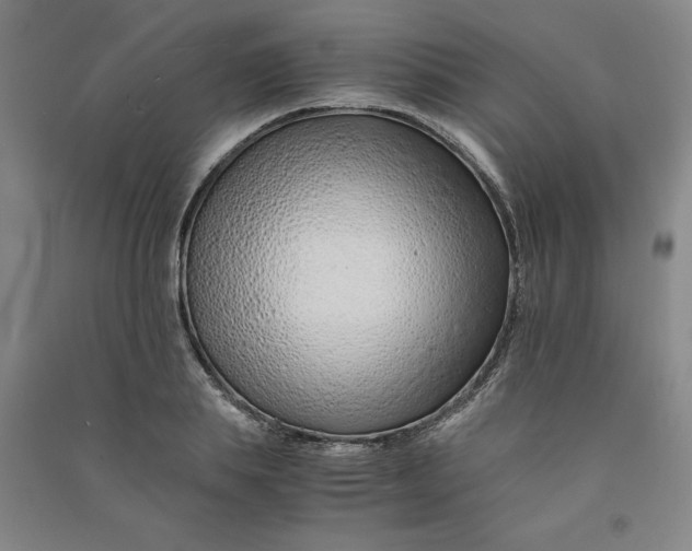 X0000090900839200708201716