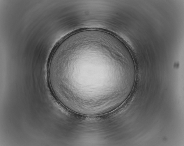 X0000090900840200708201716