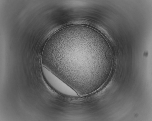 X0000090900841200708201716