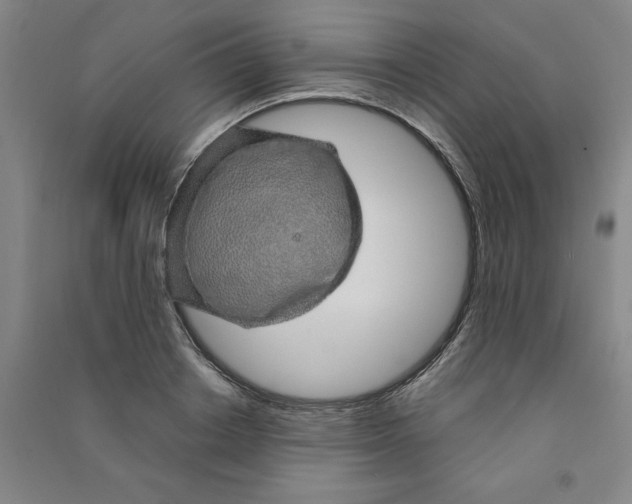 X0000090900842200708201716