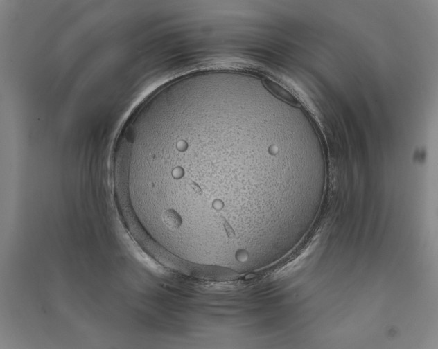 X0000090900843200708201716