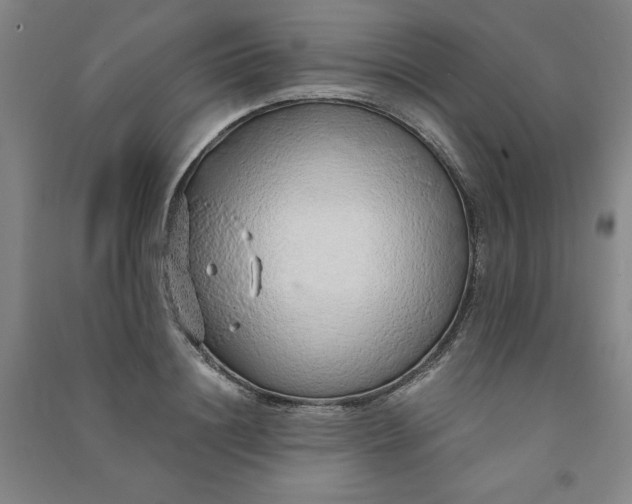 X0000090900844200708201716