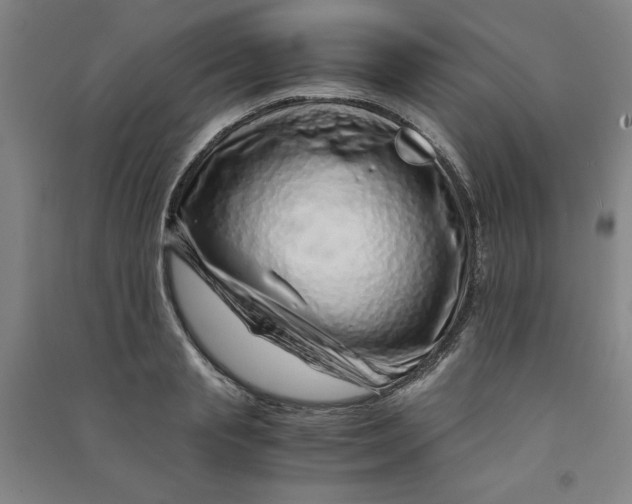 X0000090900845200708201716