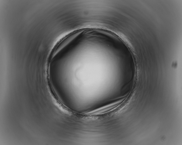 X0000090900846200708201716