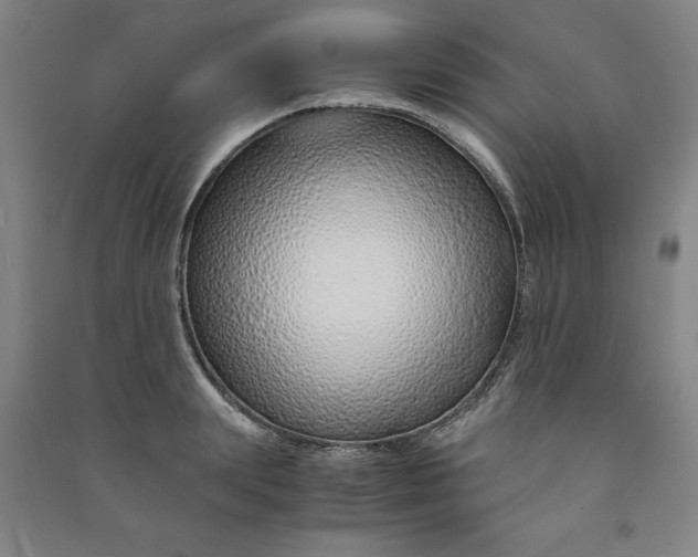 X0000090900847200708201716