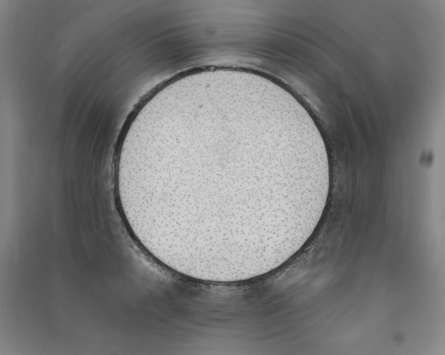 X0000090900848200708201716