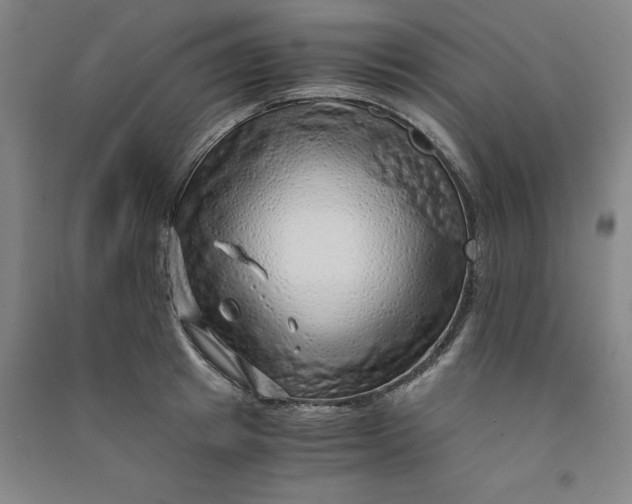 X0000090900849200708201716