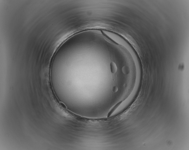 X0000090900850200708201716