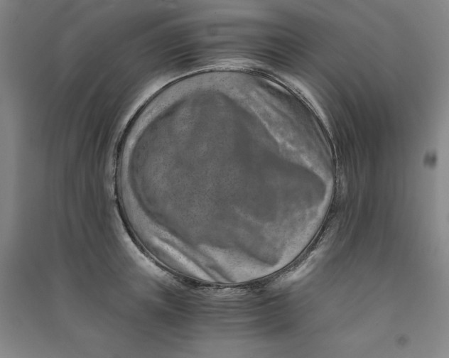 X0000090900851200708201716