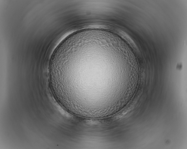 X0000090900852200708201716