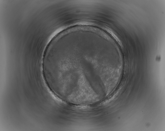 X0000090900853200708201716