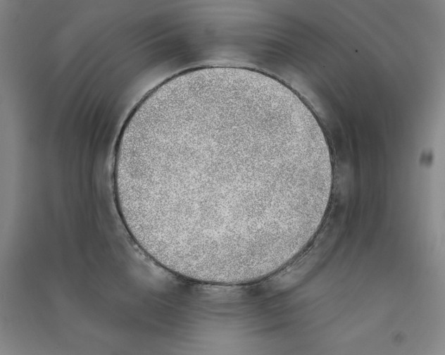 X0000090900856200708201716