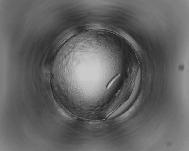 X0000090900857200708201716