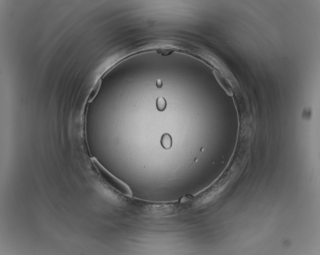 X0000090900858200708201716