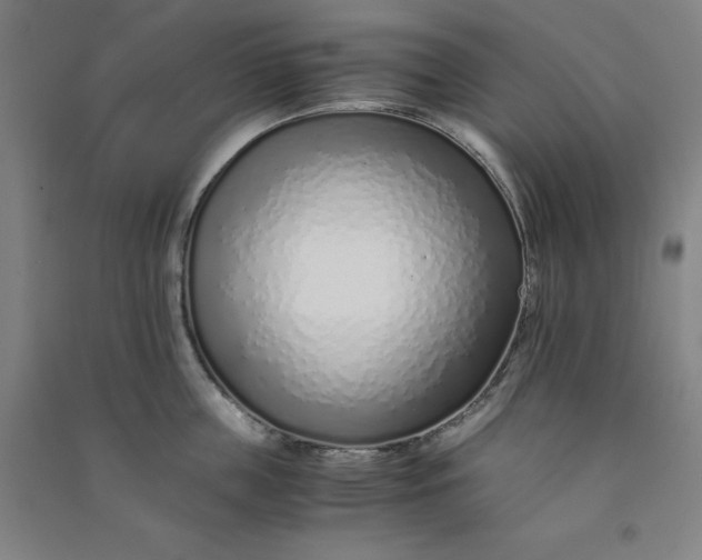 X0000090900859200708201716