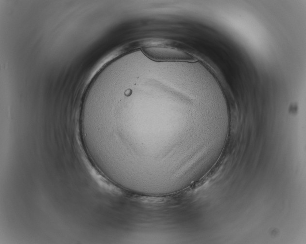 X0000090900861200708201716