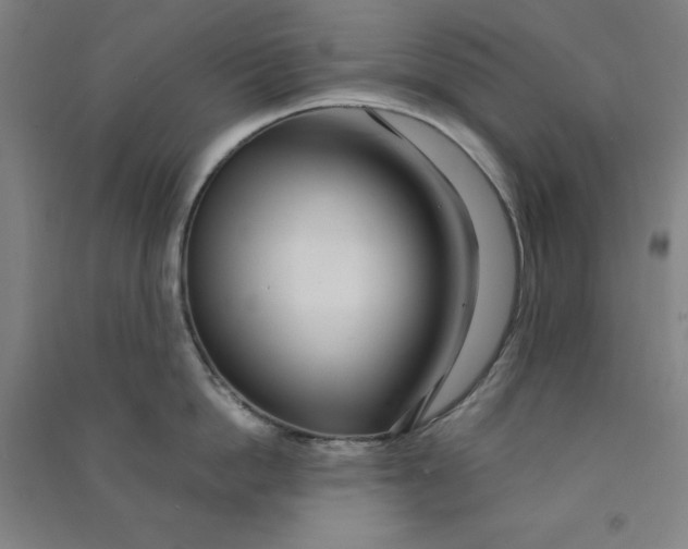 X0000090900862200708201716