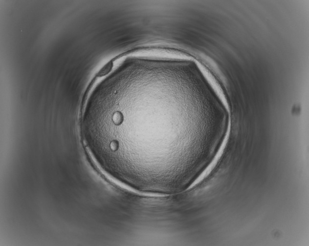 X0000090900863200708201716