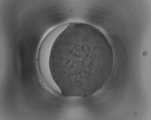 X0000090900864200708201716