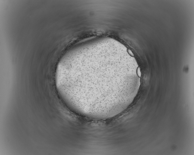 X0000090900865200708201715