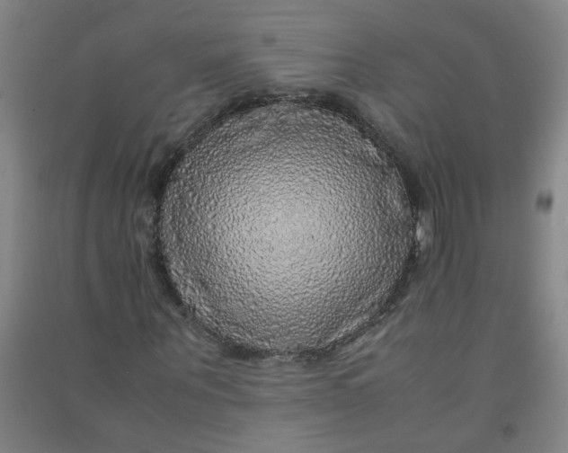 X0000090900867200708201715