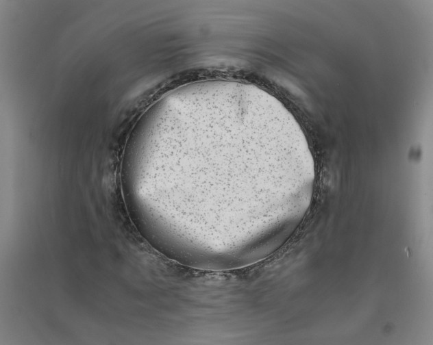 X0000090900869200708201715