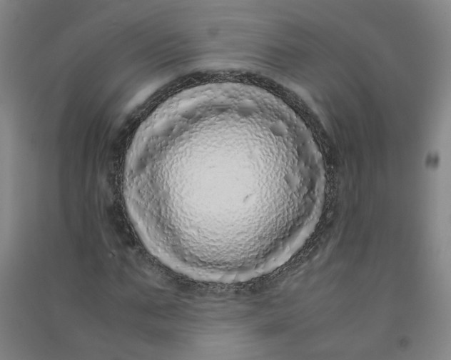 X0000090900871200708201715