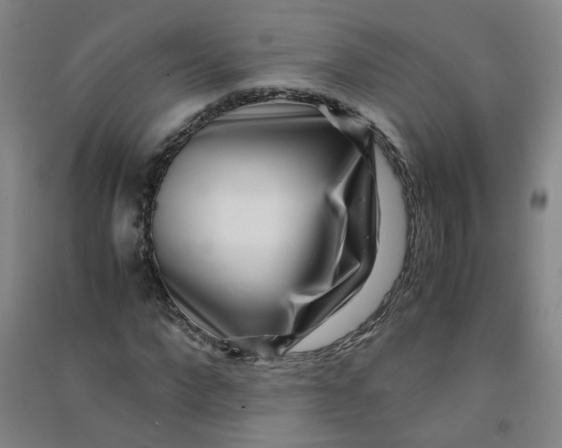 X0000090900872200708201715