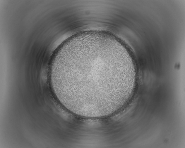 X0000090900874200708201715