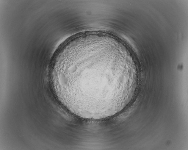 X0000090900875200708201715