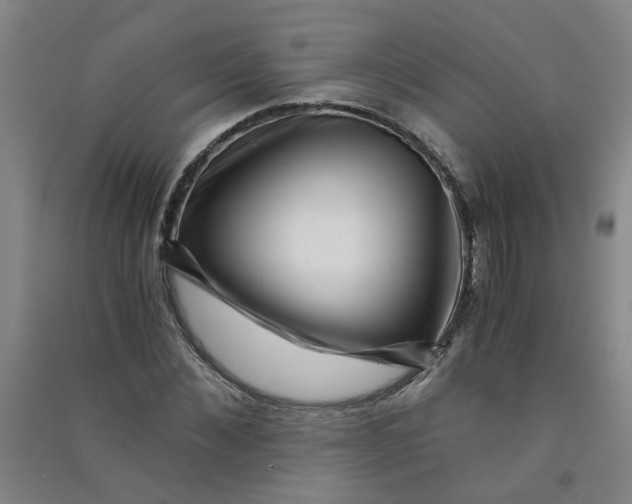 X0000090900876200708201715