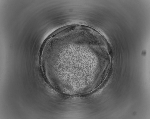 X0000090900877200708201715