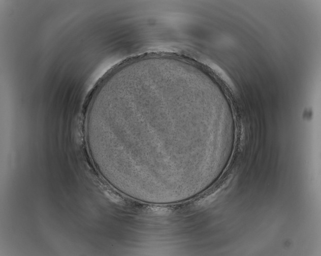 X0000090900878200708201715