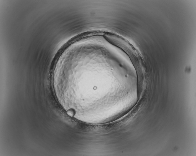 X0000090900879200708201715