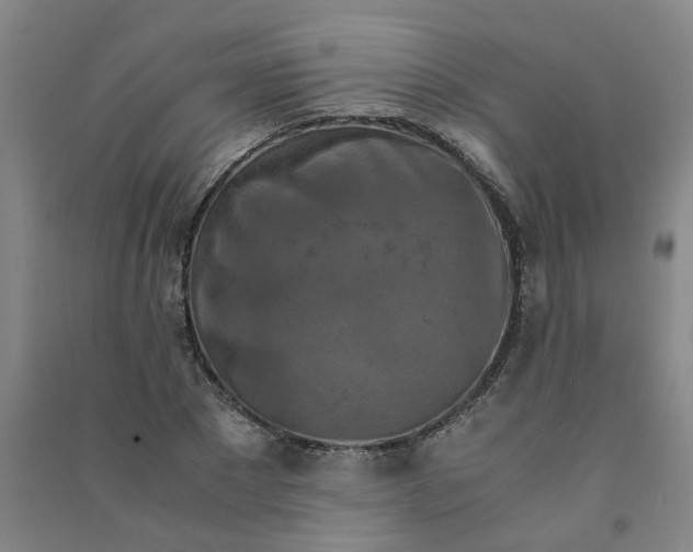 X0000090900881200708201715