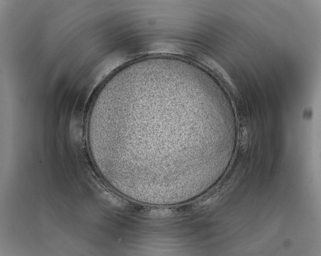 X0000090900882200708201715