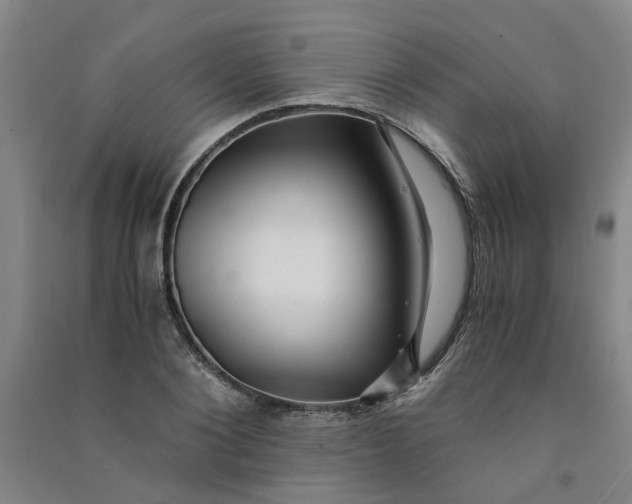 X0000090900884200708201715