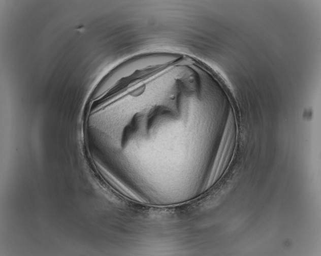 X0000090900887200708201715