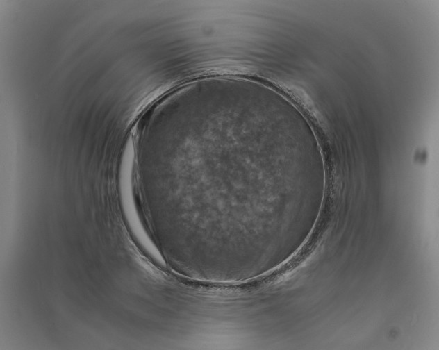 X0000090900889200708201715