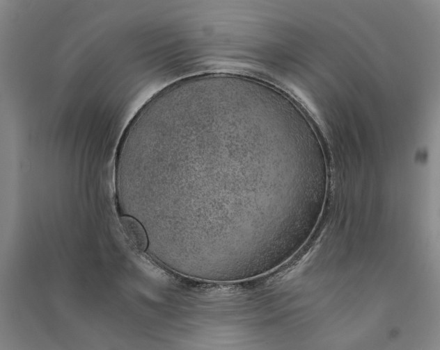 X0000090900891200708201715