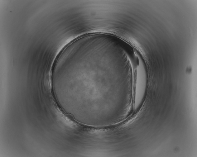 X0000090900892200708201715