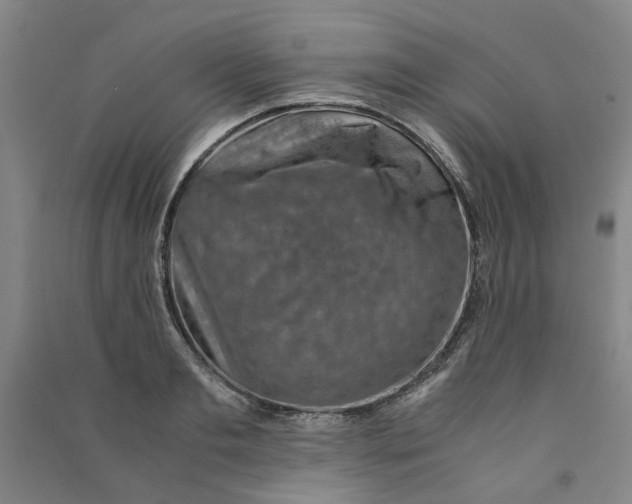 X0000090900893200708201715