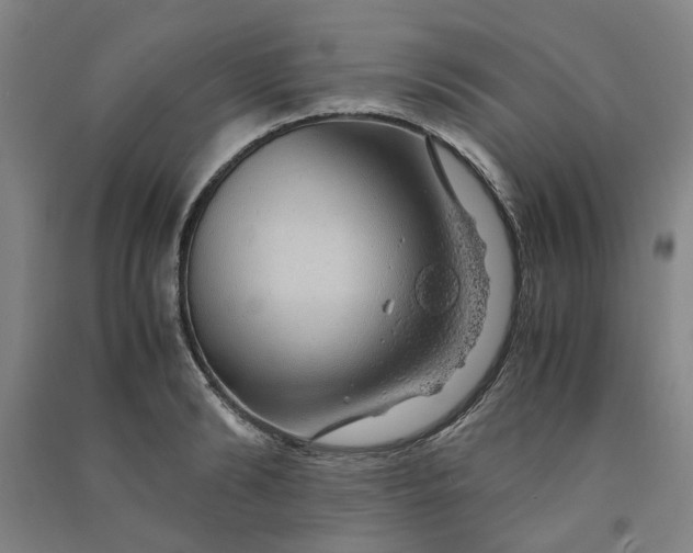 X0000090900894200708201715