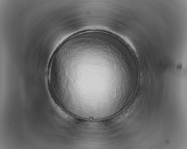 X0000090900895200708201715