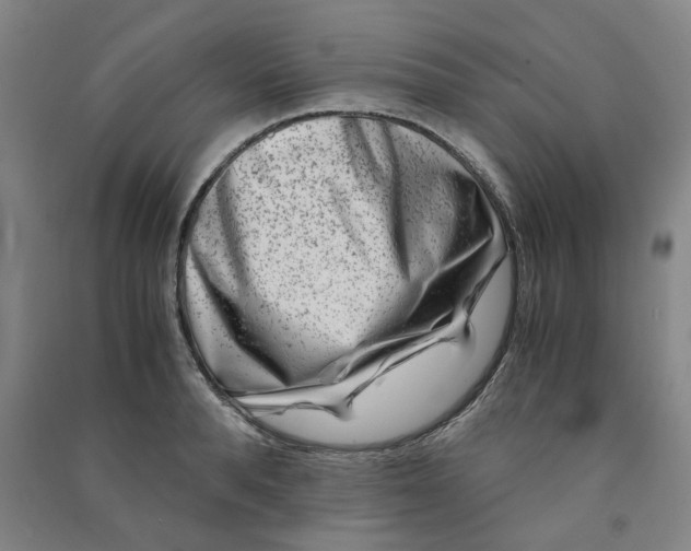 X0000090900896200708201715