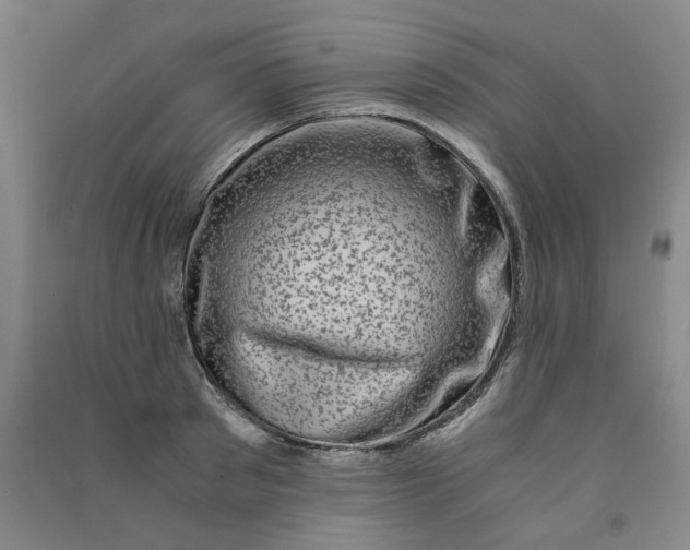 X0000090900897200708201715