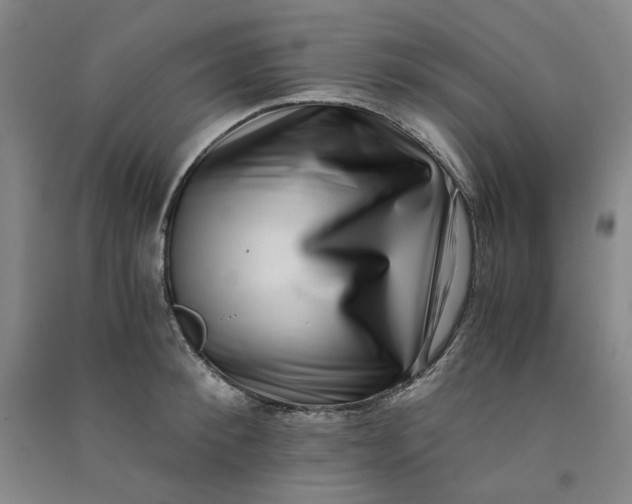 X0000090900900200708201715